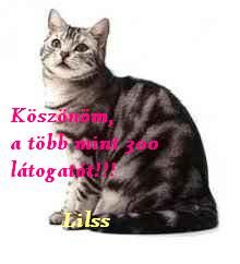 koszi.jpg